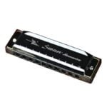 10 Holes Blues Harmonica Diatonic Gift Mouth Harp With PU case Musical Instrument 3