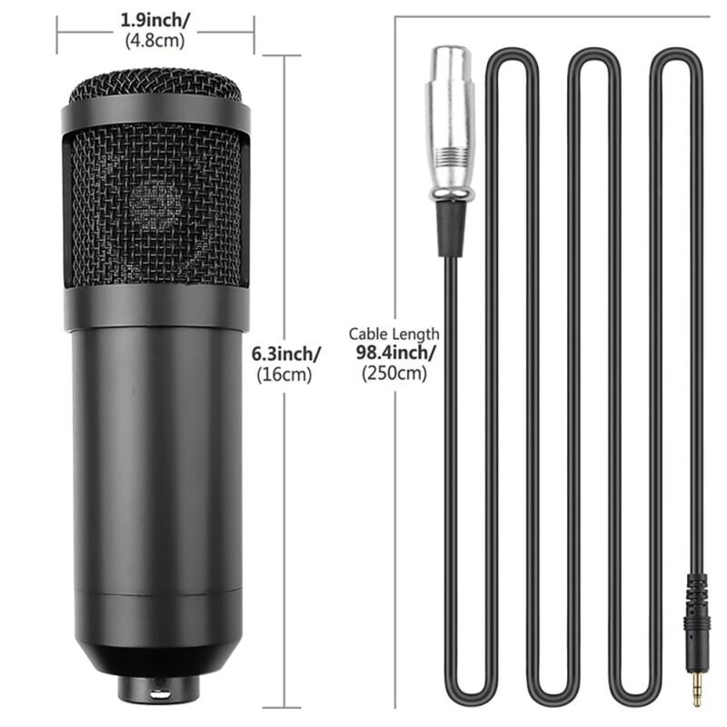 Kebidu Professional BM800 karaoke mic studio condenser microphone For KTV Radio support large diaphragm live broadcast 2