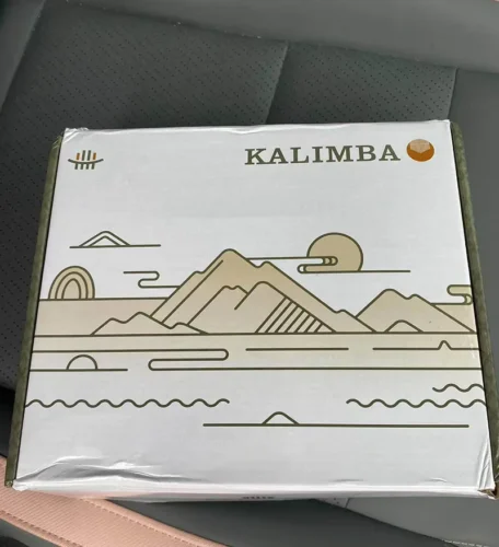 Kalimba Electric 21 Key Pro photo review