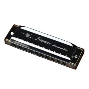 10 Holes Blues Harmonica Diatonic Mouth Harp