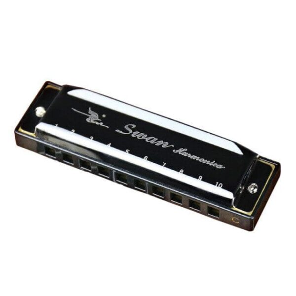 10 Holes Blues Harmonica Diatonic Mouth Harp