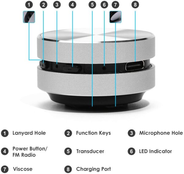 Hummingbird Sound Box TWS Wireless Sound