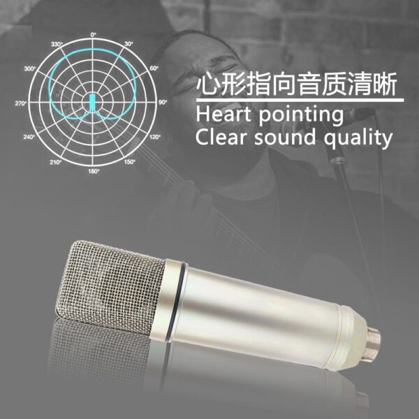 Condenser microphone with Shock Mount