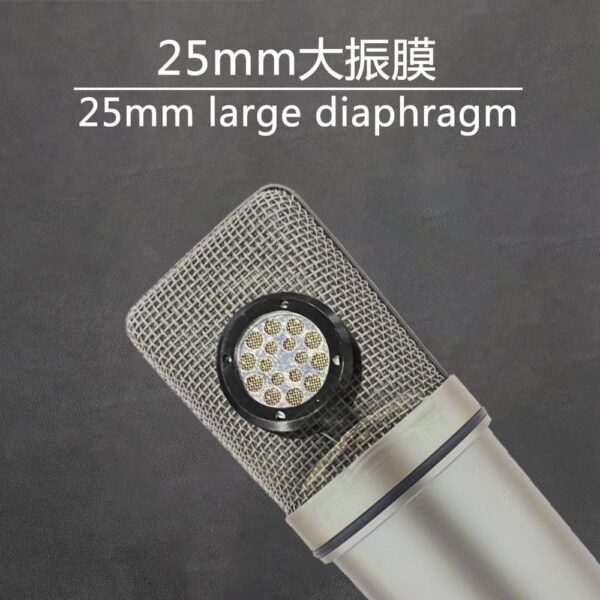 Condenser microphone with Shock Mount