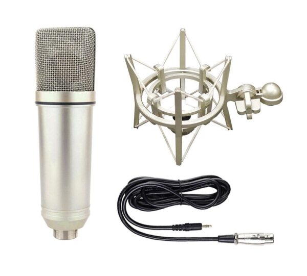 Condenser microphone with Shock Mount