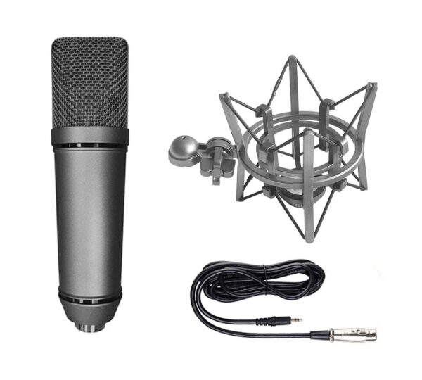 Condenser microphone with Shock Mount