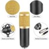 BM-800 PC-Compatible Games Studio Microphone kit