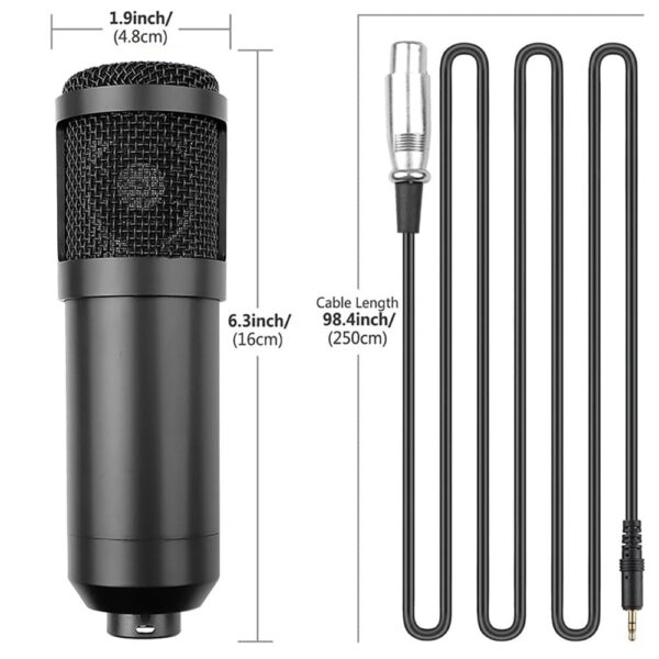 condenser microphone