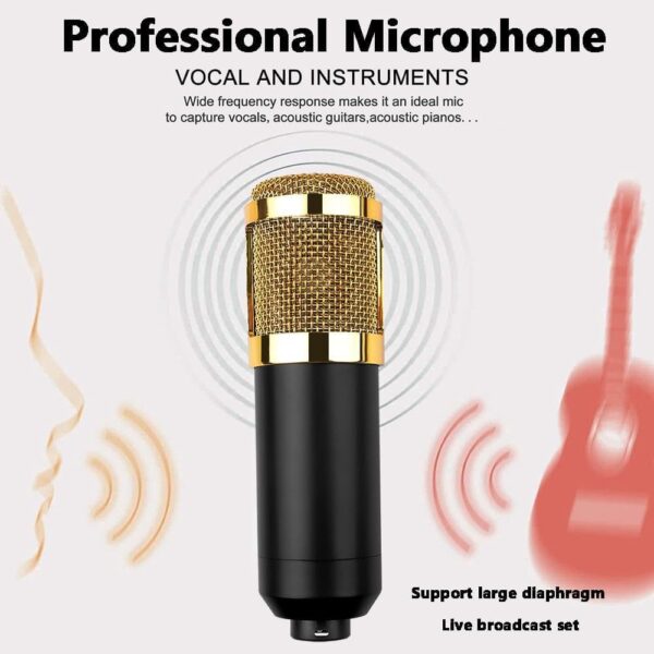 condenser microphone