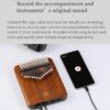 Kalimba Electric 21 Key Pro