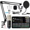 Professional Condenser Microphone Sound Card