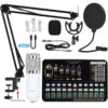 Professional Condenser Microphone Sound Card