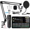 Professional Condenser Microphone Sound Card