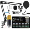 Professional Condenser Microphone Sound Card