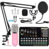 Professional Condenser Microphone Sound Card
