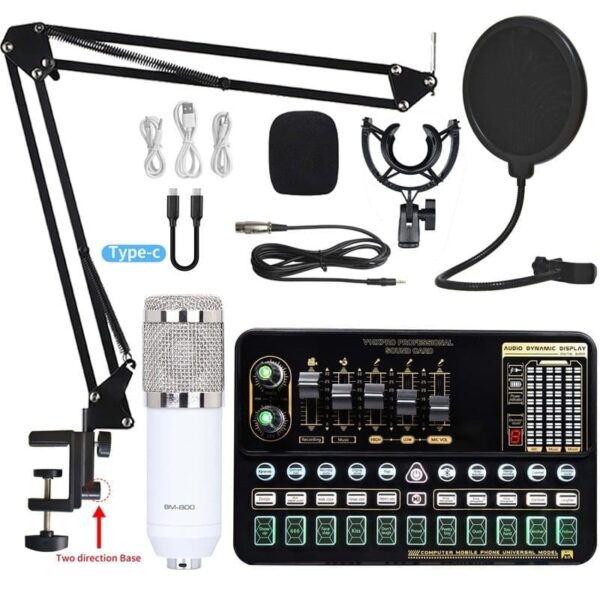 Professional Condenser Microphone Sound Card