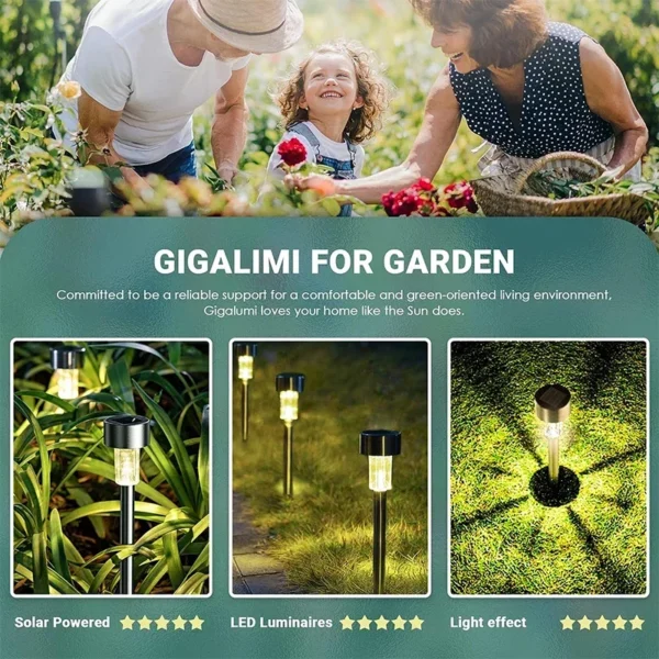 Modern Outdoor Garden Lights Solar-Powered Lanterns