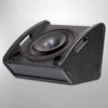 monitor speaker