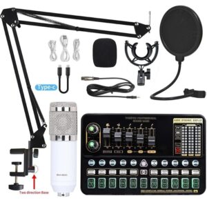 Professional Condenser Microphone Sound Card