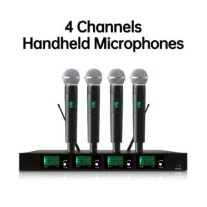 Professional Wireless Microphone